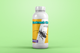 سم سوسک آمریکایی و آلمانی Cockroach Clean