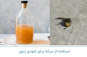 استفاده از سرکه برای نابودی زنبور