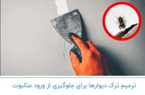 ترمیم ترک دیوارها برای جلوگیری از ورود عنکبوت