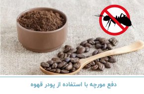 دفع مورچه با استفاده از پودر قهوه