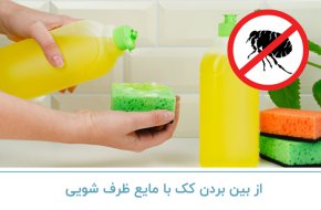 از بین بردن کک با مایع ظرفشویی