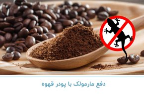 دفع مارمولک با پودر قهوه