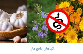 گیاهان دفع مار